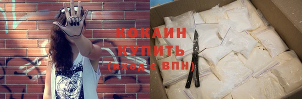 прущие грибы Баксан