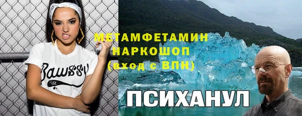 прущие грибы Баксан