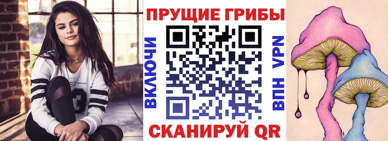 Псилоцибиновые грибы Psilocybine cubensis  Кувшиново 